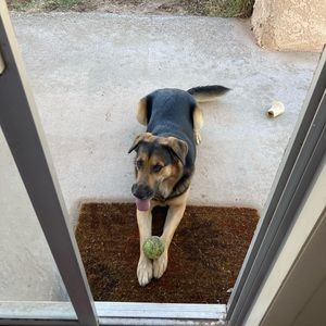 Meet your Posher, Chelsea